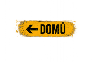 Zpět domů